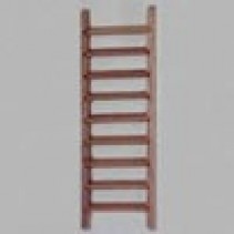 Ladder Walnut 20x60mm